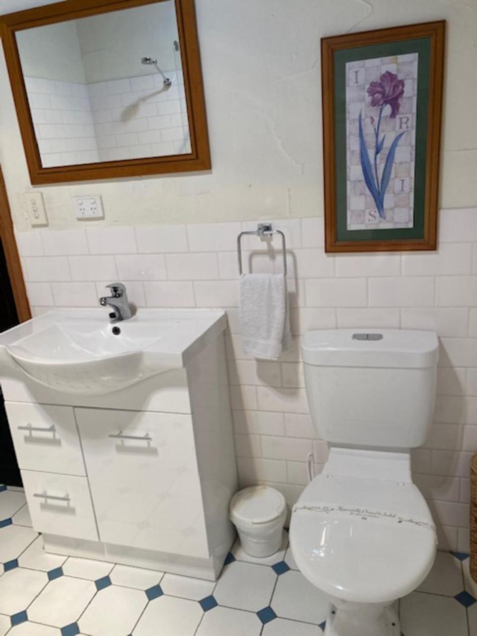 מאונט גמבייר Clarendon Chalets מראה חיצוני תמונה